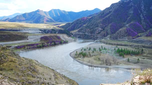 アルタイ山脈 シベリア ロシアのチュヤ川とカトゥン川の影響 春の風景 有名な観光地 高品質4K映像 — ストック動画