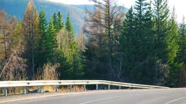 Chuysky Tract Est Route Montagne Avec Belles Vues Dans Altaï — Video