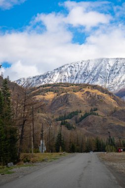 Güney Altai dağlarında kar tepeleri ve bahar ormanı manzaralı bir yol, Rusya. Yüksek kalite fotoğraf