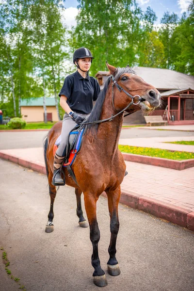 Vakker Ung Kvinne Med Hjelm Ridende Sin Brune Hest Bilde – stockfoto