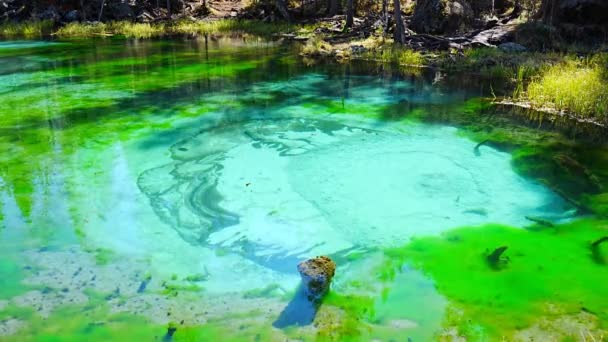 Lago Geyser Con Argilla Blu Nella Repubblica Dell Altai Blue — Video Stock
