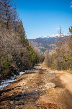 Orman ve dağların arka planında büyük taşlar olan yokuş yukarı Altai, Rusya 'da off-road. Yüksek kalite fotoğraf