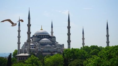 Türkiye 'nin eski İstanbul kentindeki Sultanahmet Camii veya Mavi Cami. Yüksek kalite 4k görüntü