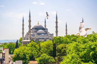 Türkiye 'nin eski İstanbul kentindeki Sultanahmet Camii veya Mavi Cami. Yüksek kalite fotoğraf
