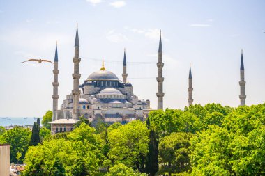 Türkiye 'nin eski İstanbul kentindeki Sultanahmet Camii veya Mavi Cami. Yüksek kalite fotoğraf