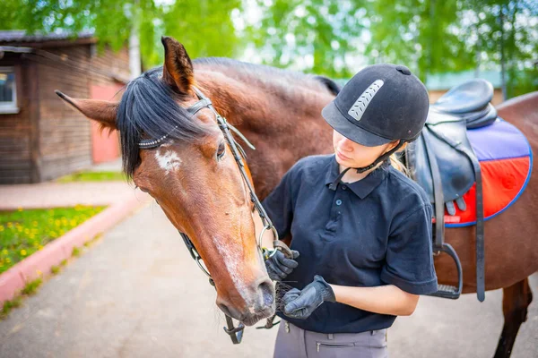 Lovely Young Woman Wearing Helmet Stroking Her Brown Horse High — Stockfoto