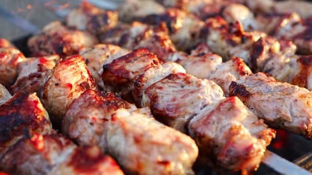 Detailní Záběr Chutného Grilu Grilu Proces Vaření Lahodný Shashlik Přírodě — Stock video