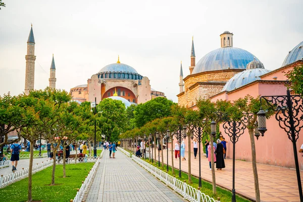 Istanbul Turkey May 2022 Sophia Cathedral Park Territory Walking People — Stock Photo, Image