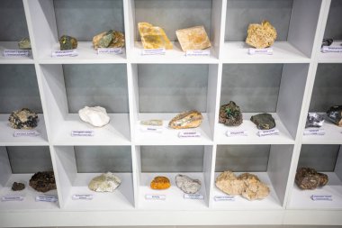 Kemerovo, Russia - May 5, 2022: Mineralogical museum in Kemerovo State University. Natural stone collection. High quality photo