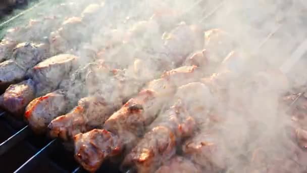 Close Grilling Tasty Dish Barbecue Process Cooking Yummy Shashlik Nature — Vídeo de Stock