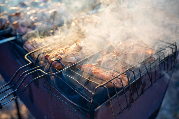 Close Grilling Tasty Dish Barbecue Process Cooking Yummy Shashlik Nature — Stok fotoğraf
