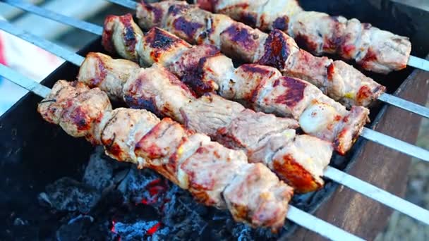 Close Grilling Tasty Dish Barbecue Process Cooking Yummy Shashlik Nature — Video
