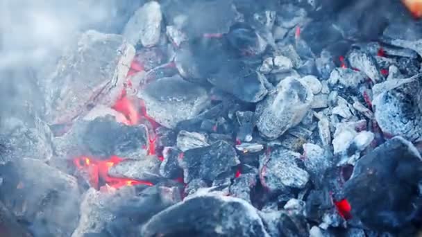 Close Carvão Churrasqueira Com Carvão Vegetal Extinto Para Churrasco Kebab — Vídeo de Stock