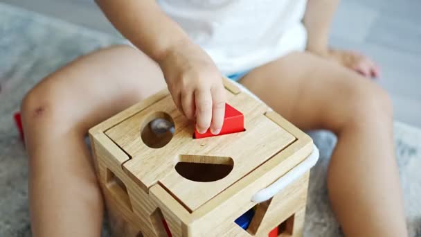 Cute Caucasian Little Girl Playing Floor Home Eco Wooden Toys — Vídeo de Stock