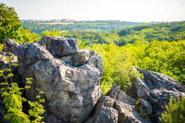 Çek Cumhuriyeti 'nin Prag şehrinde yaz aylarında gün batımında popüler vahşi park Divoka Sarka. Yüksek kalite fotoğraf