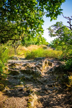 Çek Cumhuriyeti 'nin Prag şehrinde yaz aylarında gün batımında popüler vahşi park Divoka Sarka. Yüksek kalite fotoğraf