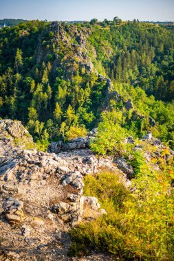 Çek Cumhuriyeti 'nin Prag şehrinde yaz aylarında gün batımında popüler vahşi park Divoka Sarka. Yüksek kalite fotoğraf