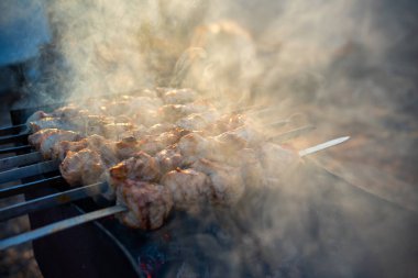 Barbeküde ızgara lezzetli yemeklere yakın çekim. Doğada lezzetli şiş kebap pişirme süreci. BBC 'deki metal şişte lezzetli yemekler. Piknik zamanı. - Evet. Yüksek kalite fotoğraf