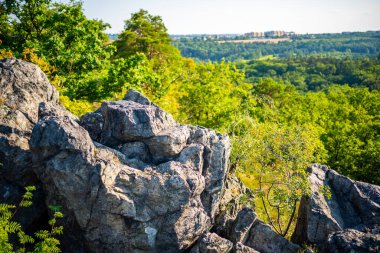 Çek Cumhuriyeti 'nin Prag şehrinde yaz aylarında gün batımında popüler vahşi park Divoka Sarka. Yüksek kalite fotoğraf