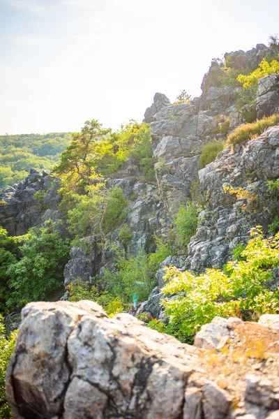 Çek Cumhuriyeti 'nin Prag şehrinde yaz aylarında gün batımında popüler vahşi park Divoka Sarka. Yüksek kalite fotoğraf