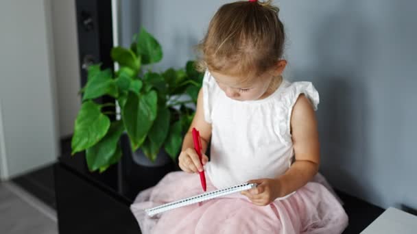 Little Girl Draw Write Red Pencil Home Child Creativity Education — Video Stock
