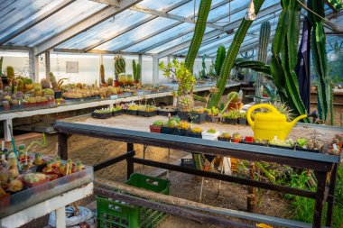 Prag, Çek Cumhuriyeti 'ndeki Smichov bölgesinde çiftlik hayvanları, kuş, çocuk parkı ve sebze bahçesi bulunan doğabilimci istasyon. Yüksek kalite fotoğraf