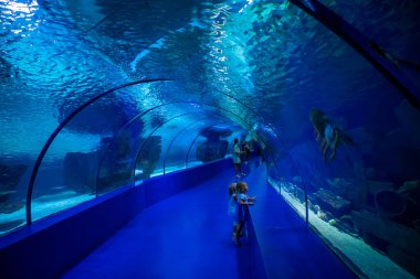 Antalya, Türkiye - 26 Eylül 2022: İnsanlar dünyanın en uzun panoramik tüneli Antalya, Türkiye 'de bulunan akvaryumun sualtı manzarasının keyfini çıkarıyorlar. Yüksek kalite fotoğraf