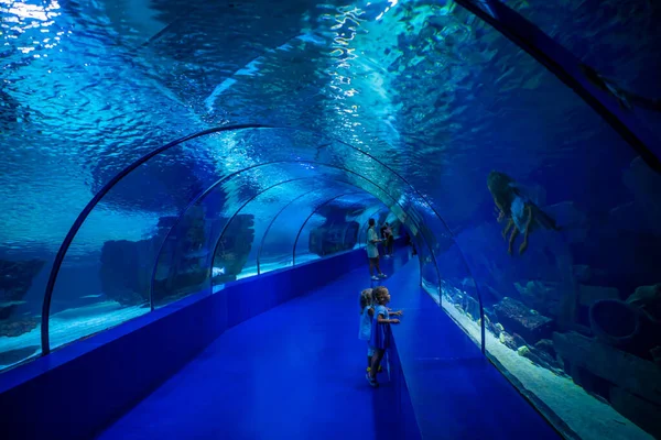 Antalya Turkey September 2022 People Enjoy Underwater View Aquarium Longest — Stock Photo, Image