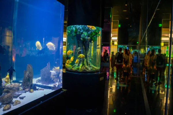 Antalya Turkey September 2022 People Enjoy Underwater View Aquarium Longest — Stock Photo, Image