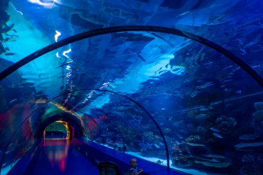 Antalya, Türkiye - 26 Eylül 2022: İnsanlar dünyanın en uzun panoramik tüneli Antalya, Türkiye 'de bulunan akvaryumun sualtı manzarasının keyfini çıkarıyorlar. Yüksek kalite fotoğraf