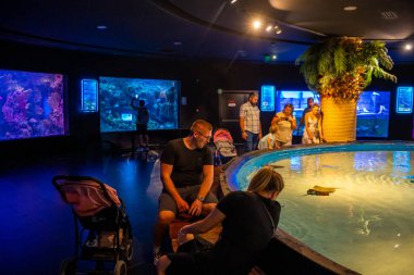 Antalya, Türkiye - 26 Eylül 2022: İnsanlar dünyanın en uzun panoramik tüneli Antalya, Türkiye 'de bulunan akvaryumun sualtı manzarasının keyfini çıkarıyorlar. Yüksek kalite fotoğraf