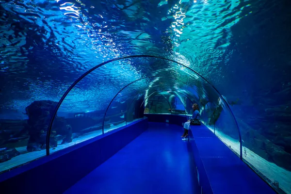 Antalya Turquía Septiembre 2022 Gente Disfruta Vista Submarina Del Acuario — Foto de Stock