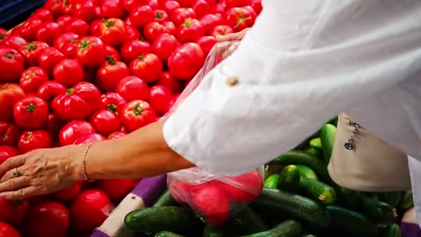 Cliente Femenino Eligiendo Tomates Poniéndolo Una Bolsa Plástico Mercado Callejero — Vídeos de Stock