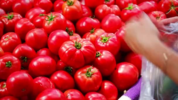 Vrouwelijke Klant Die Tomaten Kiest Plastic Boodschappentas Stopt Een Boerenmarkt — Stockvideo