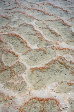 Türkiye 'de Pamukkale' nin beyaz geçitleri, kalsit kayalıkları. Yüksek kalite fotoğraf