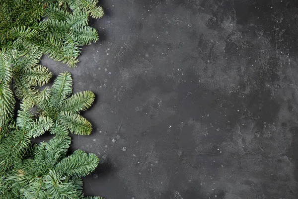 진한 회색 배경에 있는 솜털 녹색 가문비나무 가지, 텍스트를 위한 무료 공간 이 있는 크리스마스 컨셉트 스톡 사진