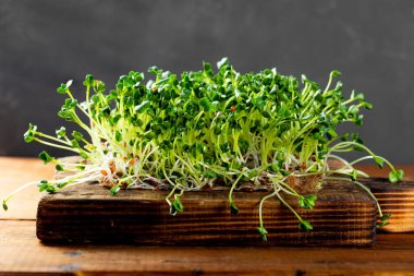 Tahta bir kesme tahtasının üzerinde filizlenmiş turp mikroçipleri. Sağlıklı salata.