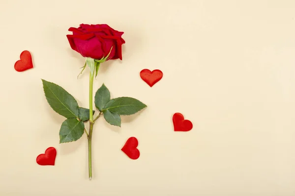 Rote Rose und rote Herzen auf beigem Hintergrund, Draufsicht, freier Raum für Text. Grußkarte zum Valentinstag — Stockfoto