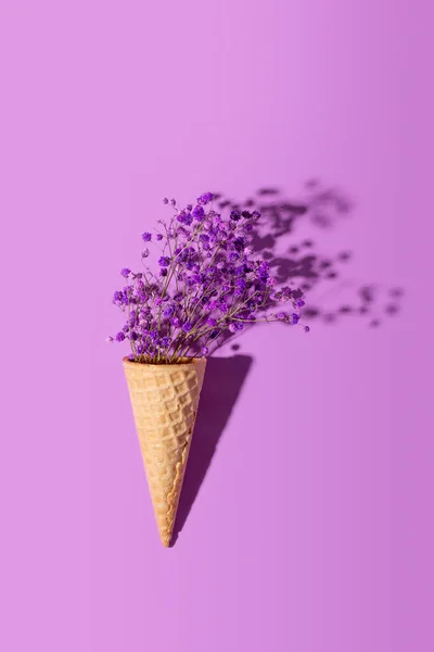 Фіолетові квіти в конусі морозива на фіолетовому фоні. Творча концепція літа, вертикальне фото Стокове Фото
