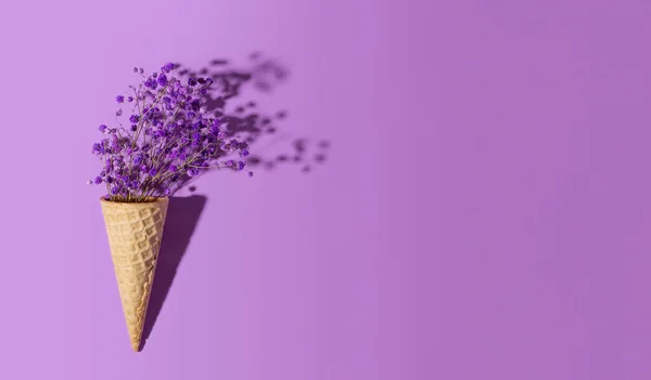 Mor arka planda, dondurma külahında mor çiçekler. Yaratıcı yaz konsepti, metin için kopyalama alanı olan web pankartı