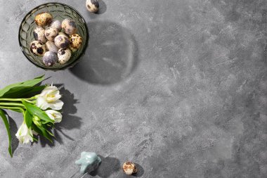 Kasede bıldırcın yumurtaları ve gri arka planda beyaz bahar çiçekleri, üst manzara, yazı için boş yer. Metin için kopyalama alanı olan neşeli paskalya kartı