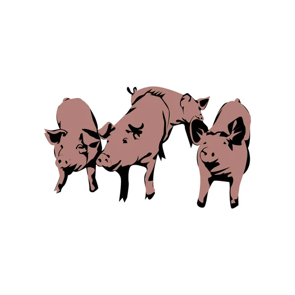 Illustration Graphique Vectoriel Conception Porc — Image vectorielle