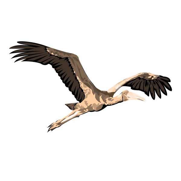 Illustration Vector Graphic Stork Design — Stock Vector