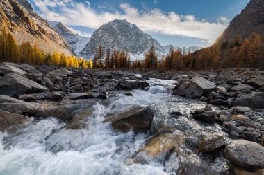 Sonbaharda günbatımında sarı tarlalar, dağlar ve buzul manzaralı dağ nehri. Altai, Rusya.