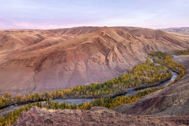 Vadideki dağ nehri. Şafakta sarı tarlalar, dağlar ve sonbahar manzaralı. Altai, Rusya.