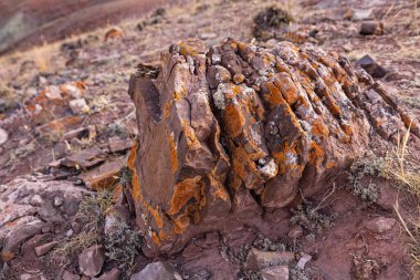 Dağlarda turuncu yosunlarla kaplı bir taş.