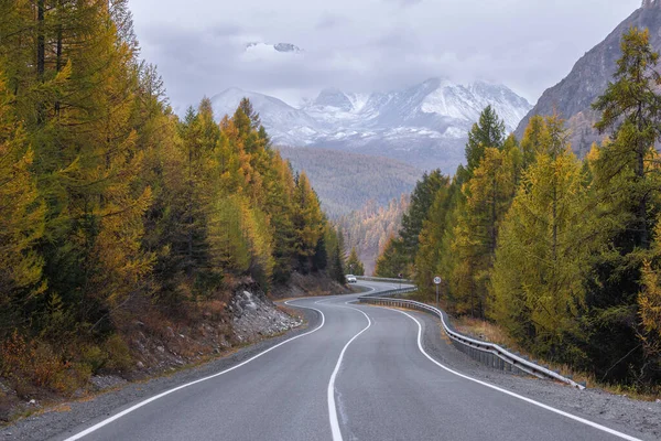 Bir dağ vadisinde, sonbaharda bir dağ sırasının arka planına karşı tarla kuşu ve köknar ağaçlarıyla çevrili bir yol. Ön planda bir araba sürüyor..