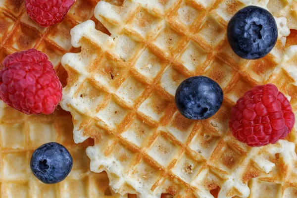 Taze ahududu ve yabanmersinli tatlı Belçika waffle 'ı. Nefis kahvaltı..