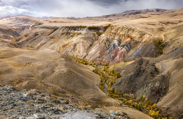 Vadideki dağ nehri. Sarı tarlalar, dağlar. Altai, Rusya.