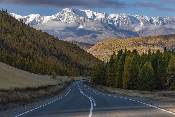 The highway is winding in a mountain valley against the backdrop of mountains covered with snow and a bright blue sky. Altai, Russia. — Zdjęcie stockowe